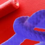 Een kink in de kabel bij de vergunningsaanvraag